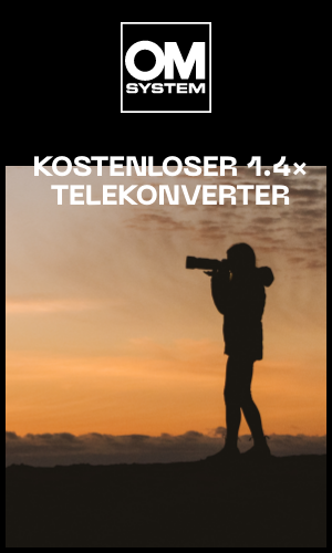 B_Dealer_main_small_tall_300x500